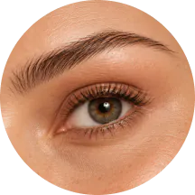 Ilustração de pálpebras e região dos olhos